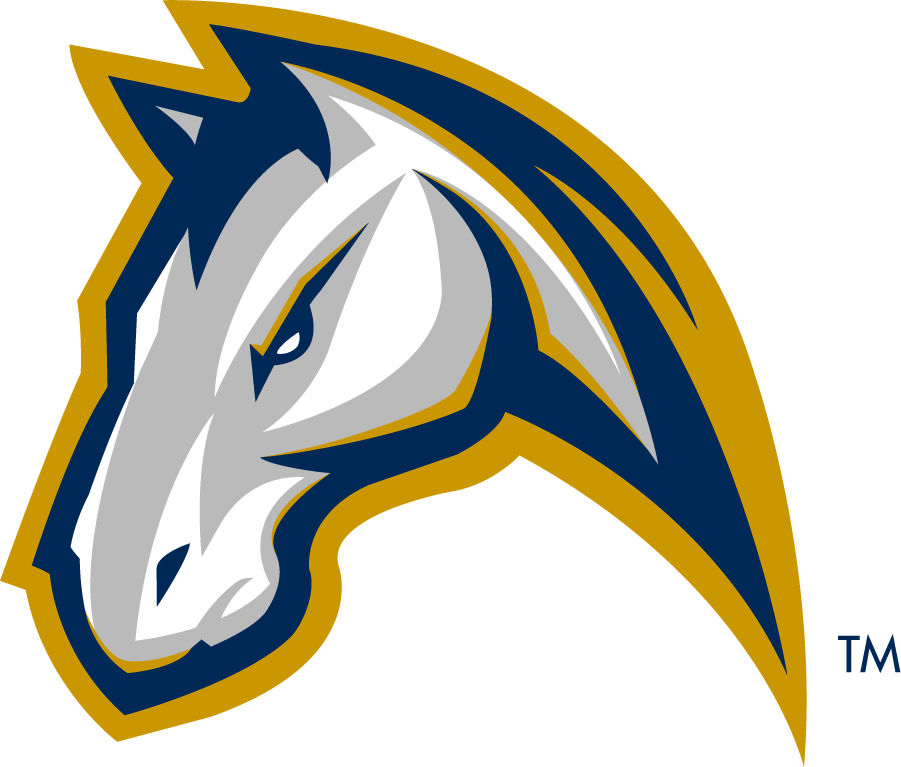 California Davis Aggies 2013-2019 Secondary Logo v2 diy iron on heat transfer
